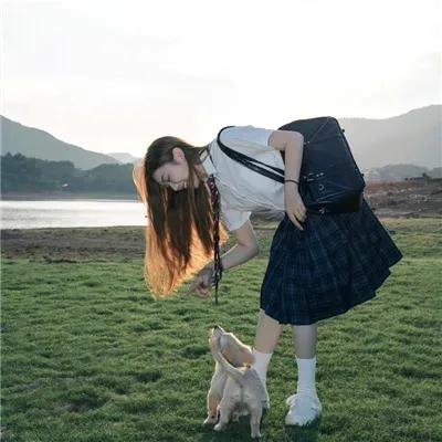 灵狐